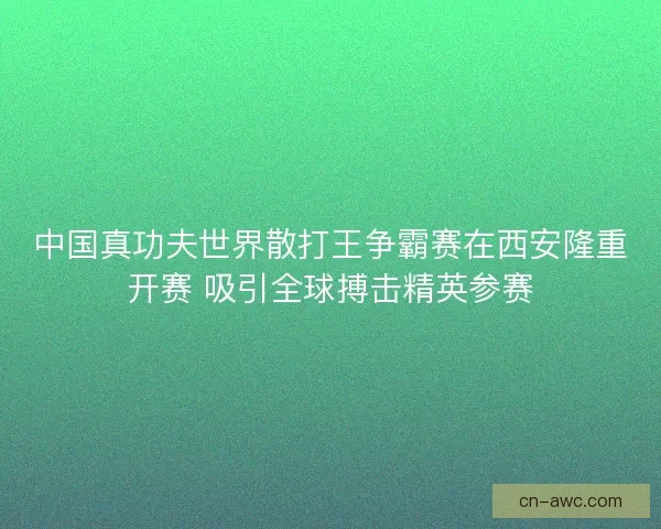 中国真功夫世界散打王争霸赛在西安隆重开赛 吸引全球搏击精英参赛
