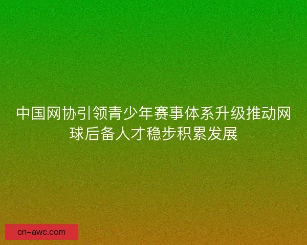 中国网协引领青少年赛事体系升级推动网球后备人才稳步积累发展