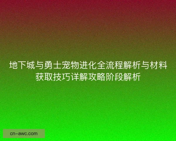 地下城与勇士宠物进化全流程解析与材料获取技巧详解攻略阶段解析